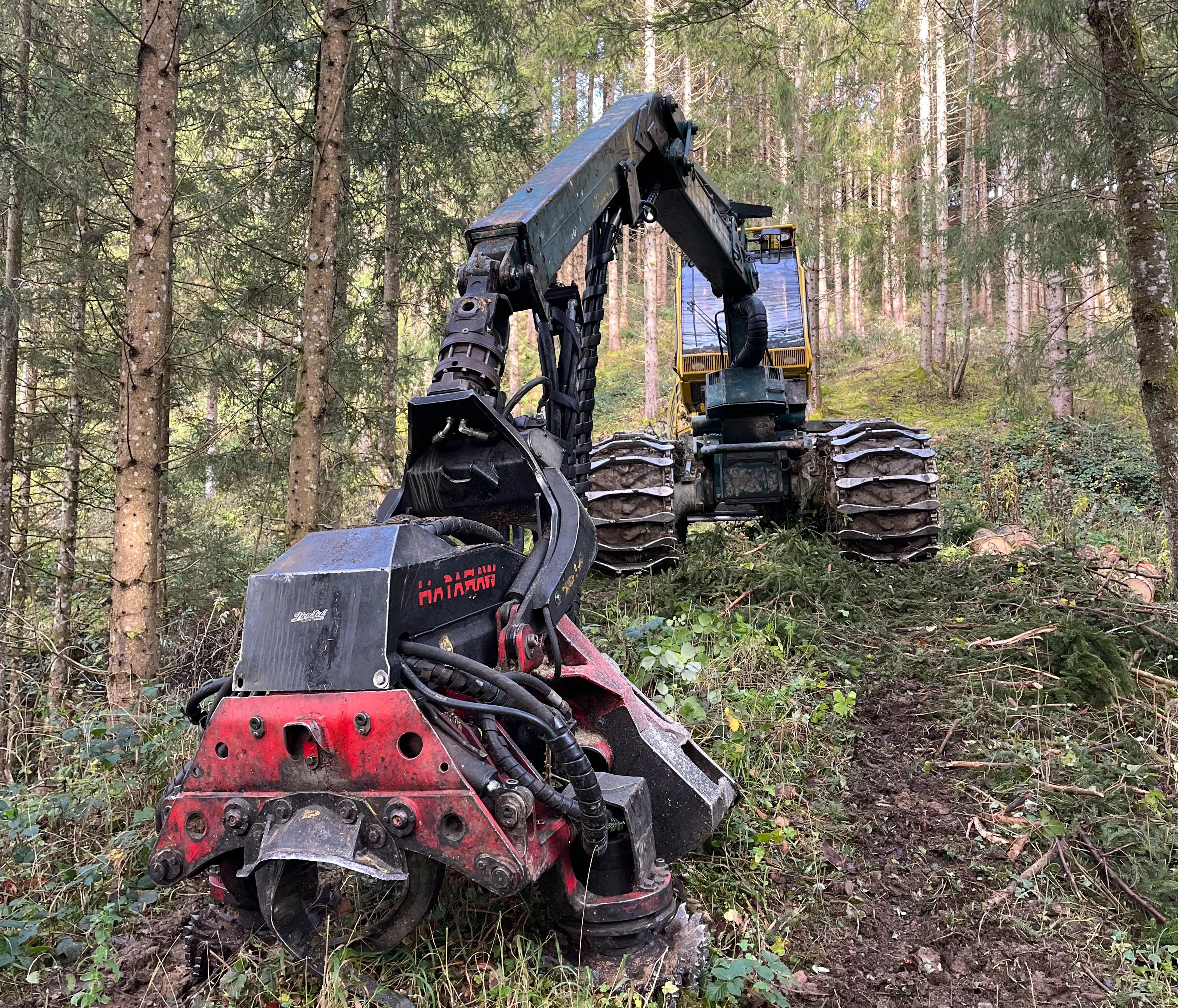 Harvester im Wald